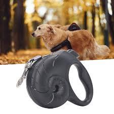 WALK & TRAVEL ESSSENTIAL