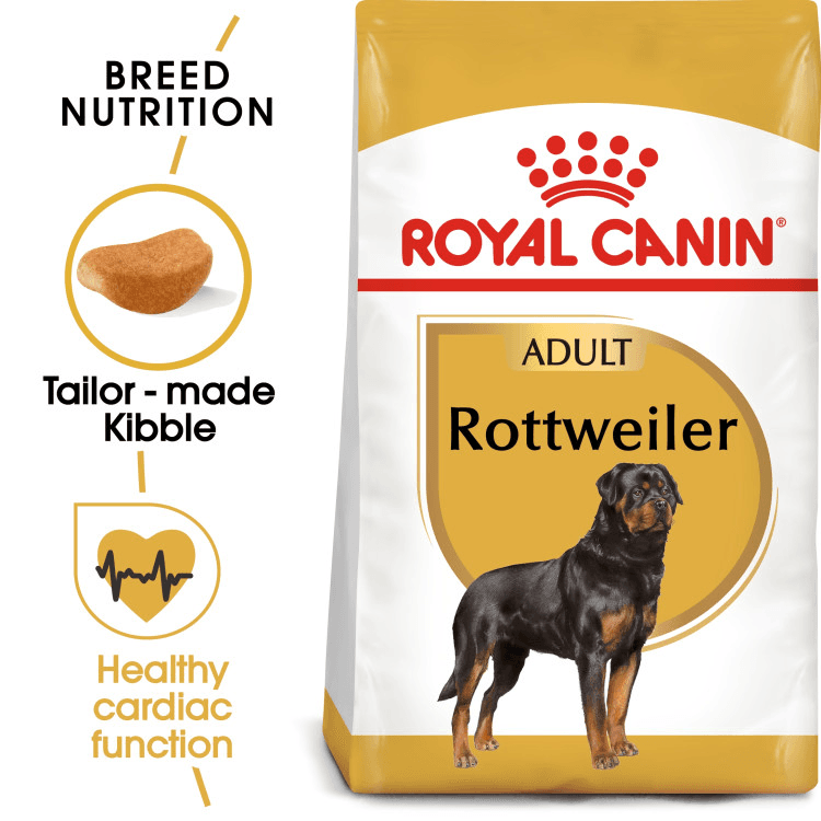 rc-adult-rottweiler.png