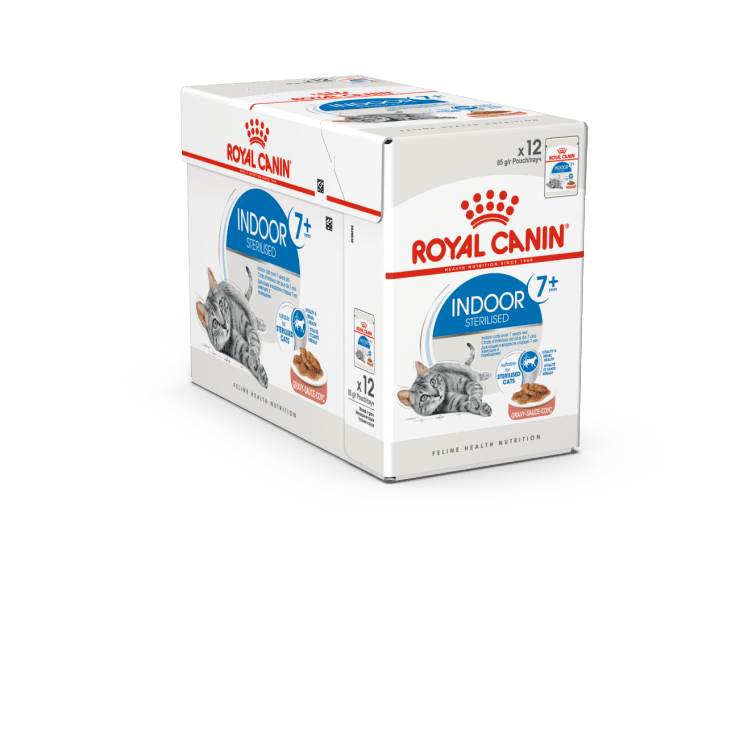 rc-cat-indoor sterlized-85g1.png