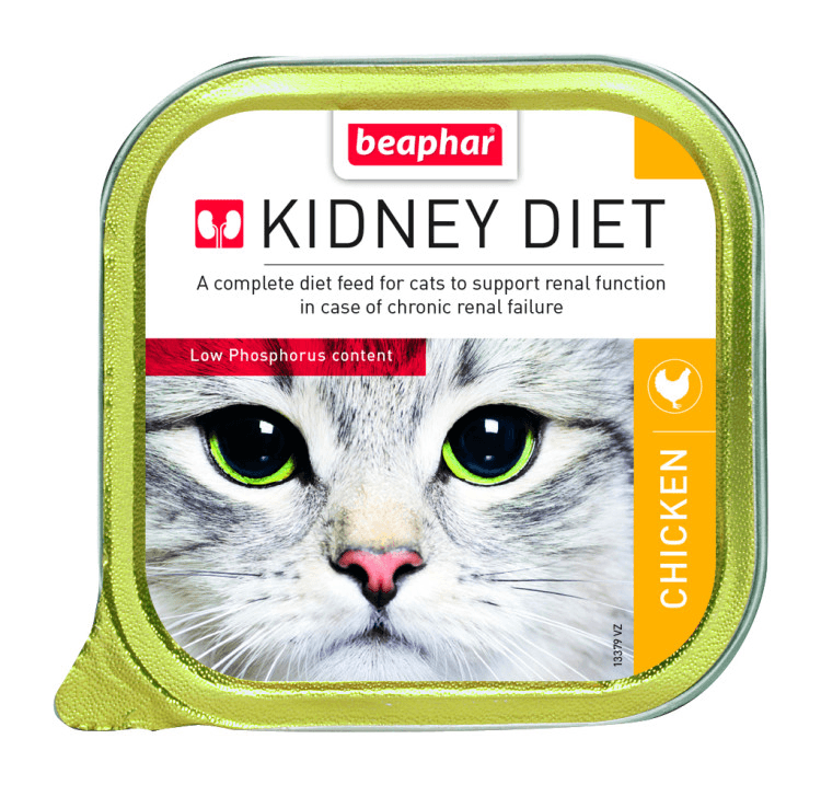 beapher-cat-kidney diet.png