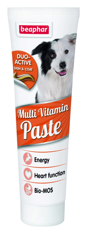 beapher-multivitamin-paste.png