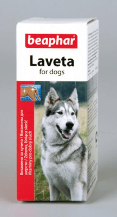 beapher-dog-laveta.png
